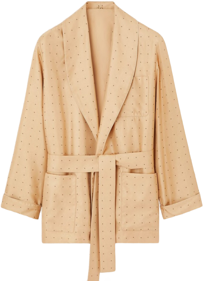 The Silk Robe